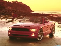     - Ford Mustang