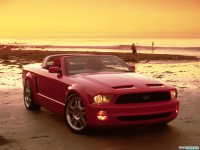     - Ford Mustang