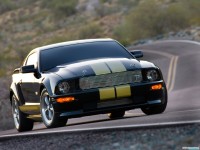     - Ford Mustang