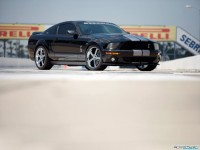     - Ford Mustang