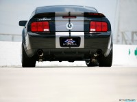     - Ford Mustang