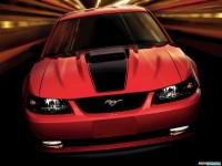     - Ford Mustang