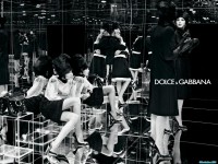     - Dolce & Gabbana