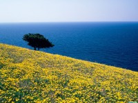     - Antiparos, Aegean Sea, Greece