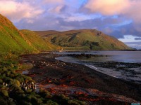     - Sandy Bay at Dawn, Macquarie Island, Antarctica