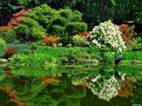     - Oriental Garden Shore Acres State Park Oregon