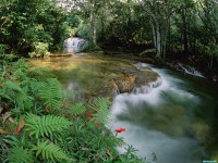     - Mato Grosso Betione Serra de Bodoquena Brazil