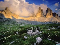     - Springtime in South Tirol Italy