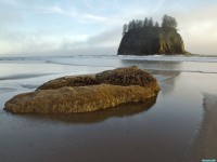     - Sea Stacks at Second Beach Olympic National Park Oregon