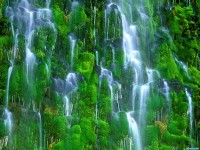     - Mossbrae Falls California