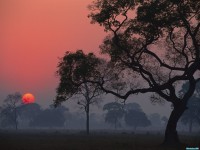     - Transpantaneira at Sunrise Pantanal Brazil