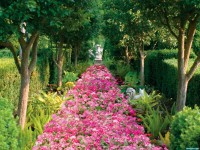     - Fragrant Pathway