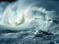     - Shorebreak, Waimea Bay, Oahu