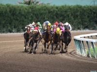     - Fight to the Finish, Gulfstream Park, Florida