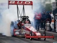     - Budweiser Top Fuel Dragster