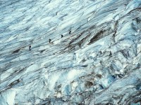     - Icy Traverse, Colman Glacier, Mount Baker, Washington