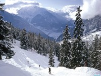     - Skiing in the Swiss Alps