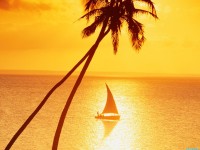     - Sunset Sailing in Paradise