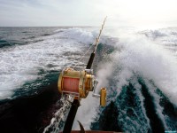     - Sportfishing Boat, Cabo San Lucas, Mexico