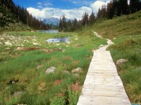     - Bagley Lakes Trail, Mount Baker Wilderness, Washington