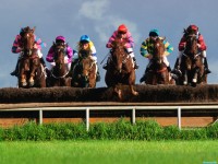     - A Race to the Finish, Steeplechase