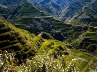     - Ancient Rice Terraces, Philippines