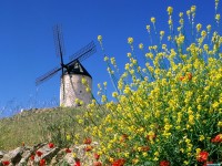     - Consuegra, Spain