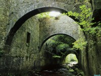     - Valle de Aezkoa, Navarre, Spain