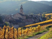     - Riquewihr, Alsatian Wine Road, France