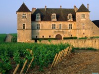     - Clos de Vougeot Vineyard, Vougeot, France