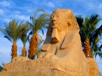     - Avenue of Sphinxes, Luxor, Egypt