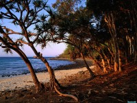     - Tea Tree Beach, Noosa National Park, Queensland, Australia