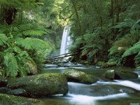     - Hopetoun Falls, Aire River, Otway National Park, Victoria, Australia