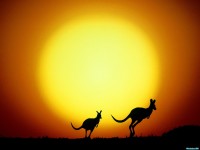     - The Kangaroo Hop, Australia