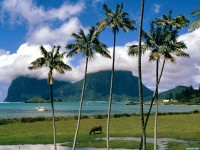     - Lord Howe Island, Australia