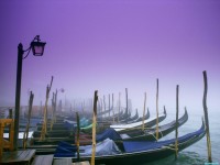     - The Many Moods of Venice, Italy