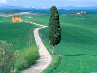     - Country Road, Tuscany, Italy