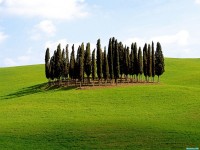     - Scenic Siena Province, Tuscany, Italy