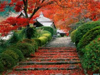     - Garden Staircase, Kyoto, Japan