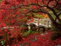     - Japanese Garden, Royal Roads University, British Columbia