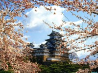     - Himeji-jo Castle, Himeji, Kinki, Japan