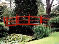     - Japanese Garden, County Kildare, Ireland