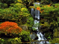     - Japanese Garden, Portland, Oregon