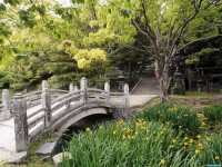     - Hagi Castle Garden, Western Honshu, Japan