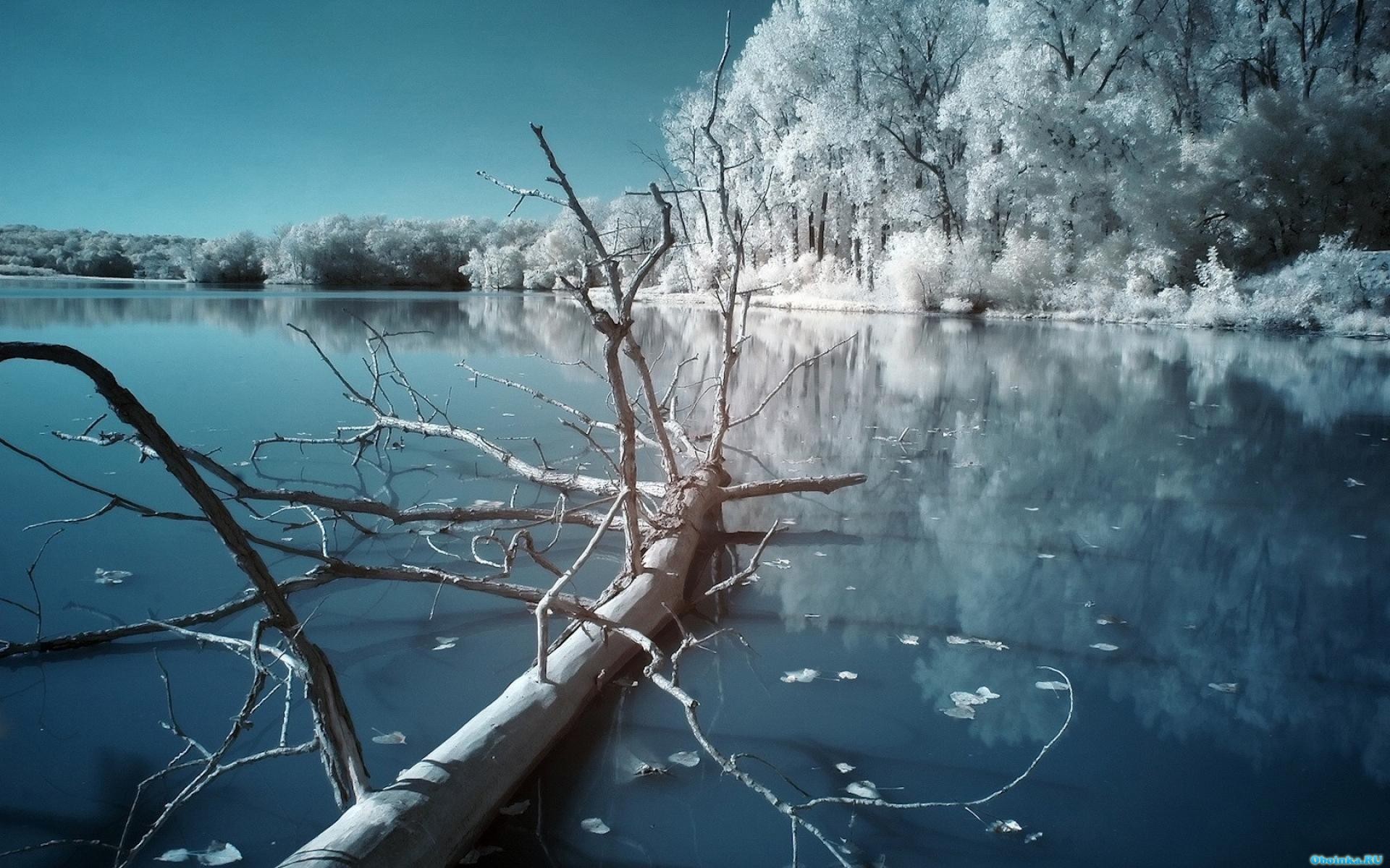  ,     - 1920x1200