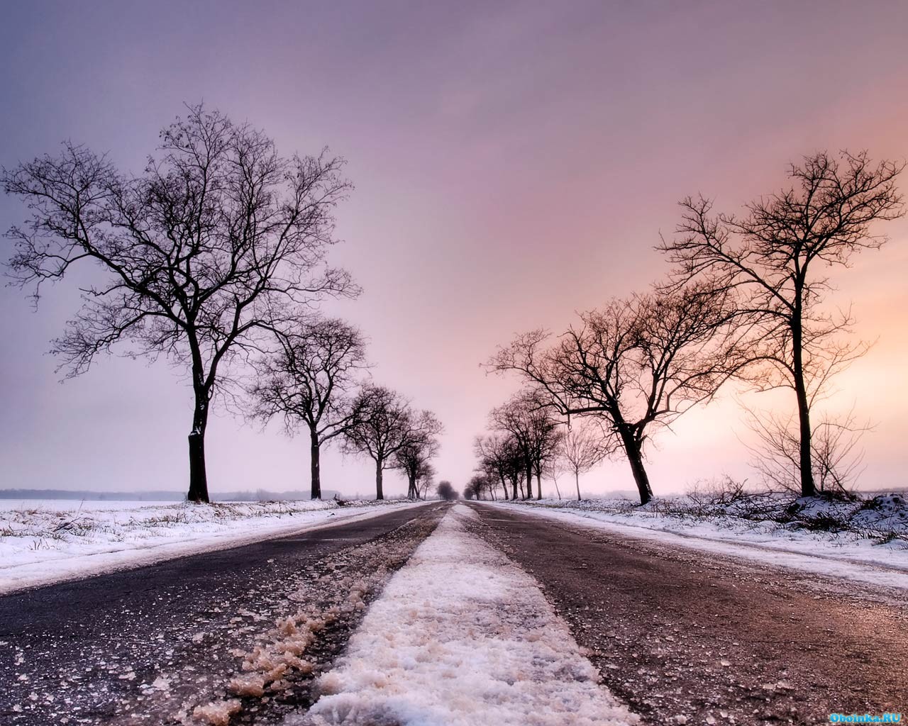  ,     - 1280x1024