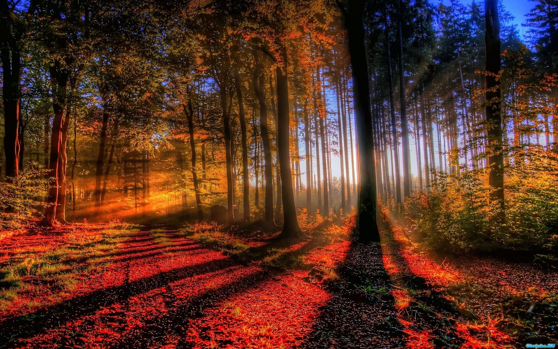  ,     - 1920x1200