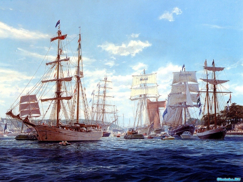  ,     - 1024x768