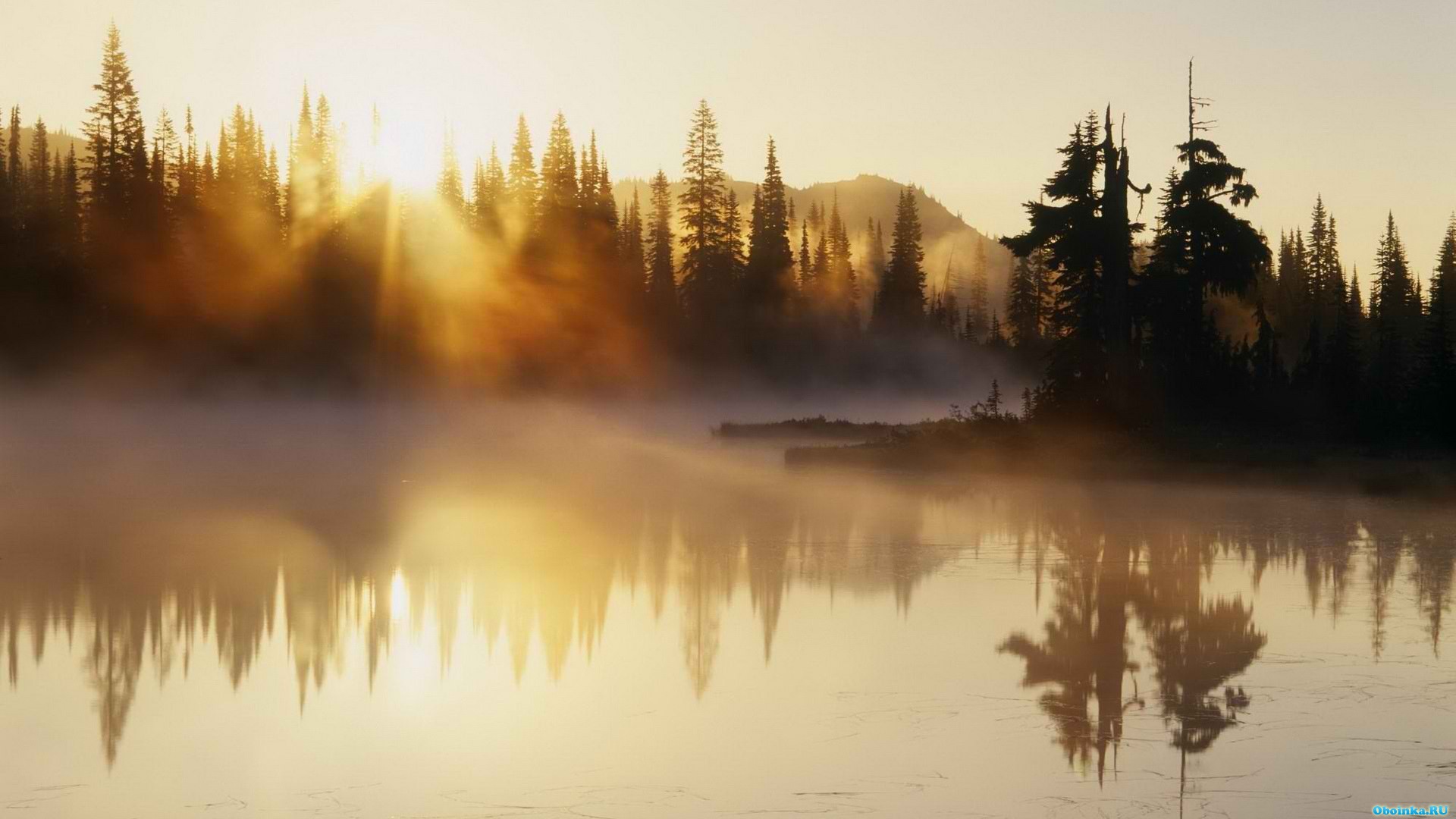  ,     - 1920x1080