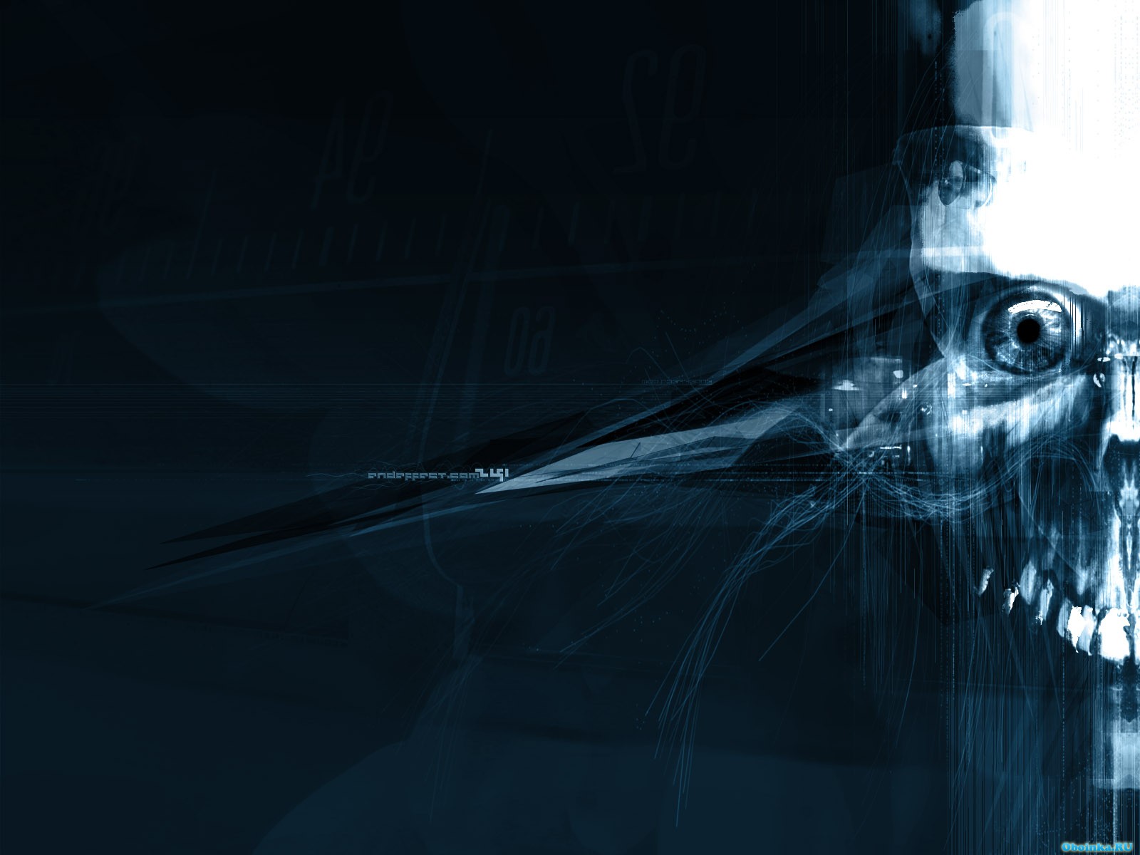  ,     - 1600x1200